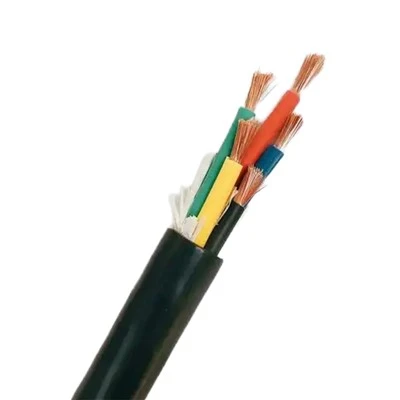 Computer and Instrument Cable